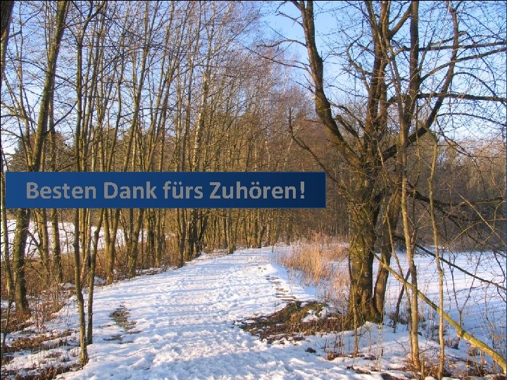 . Besten Dank fürs Zuhören! 