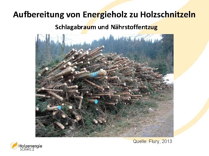 Aufbereitung von Energieholz zu Holzschnitzeln Schlagabraum und Nährstoffentzug Quelle: Flury, 2013 