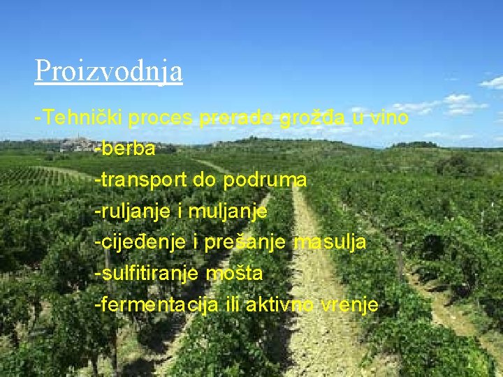 Proizvodnja -Tehnički proces prerade grožđa u vino -berba -transport do podruma -ruljanje i muljanje