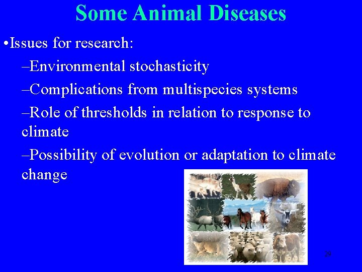 Some Animal Diseases • Issues for research: –Environmental stochasticity –Complications from multispecies systems –Role