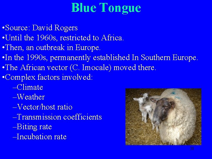 Blue Tongue • Source: David Rogers • Until the 1960 s, restricted to Africa.