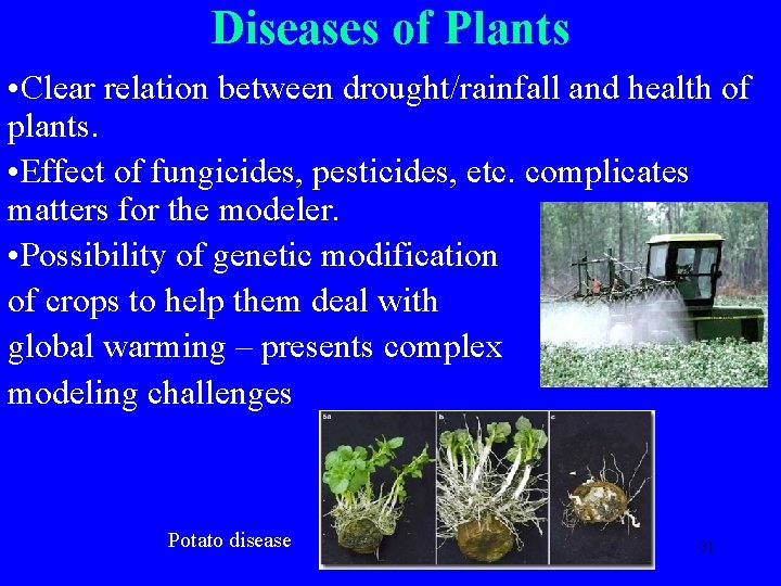 Diseases of Plants • Clear relation between drought/rainfall and health of plants. • Effect