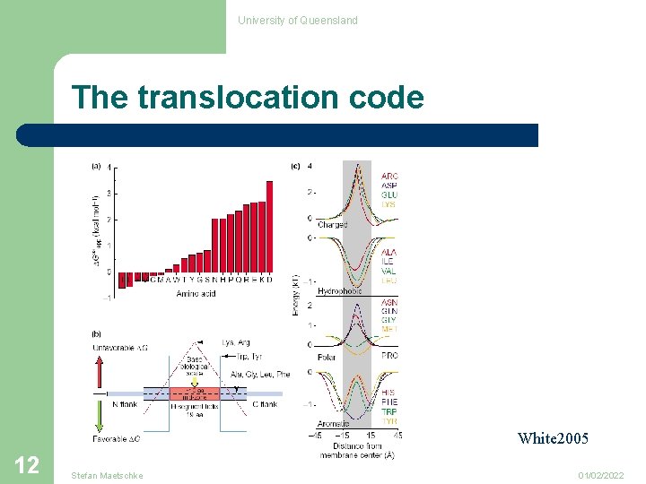 University of Queensland The translocation code White 2005 12 Stefan Maetschke 01/02/2022 