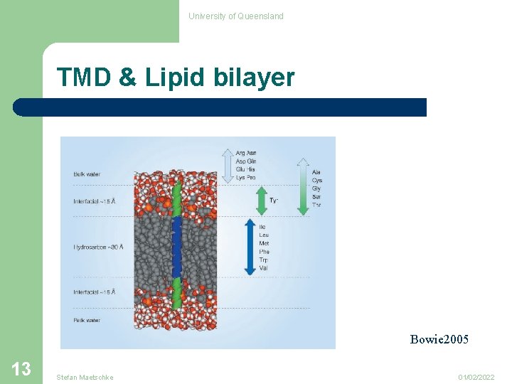 University of Queensland TMD & Lipid bilayer Bowie 2005 13 Stefan Maetschke 01/02/2022 