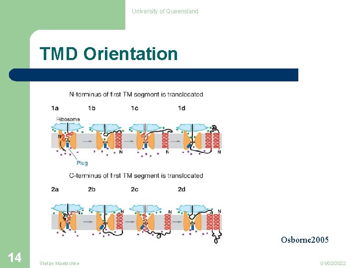 University of Queensland TMD Orientation Osborne 2005 14 Stefan Maetschke 01/02/2022 