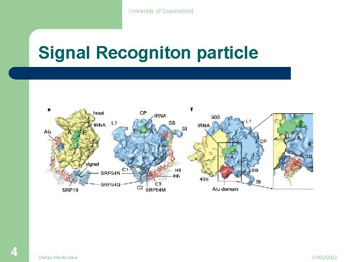 University of Queensland Signal Recogniton particle 4 Stefan Maetschke 01/02/2022 
