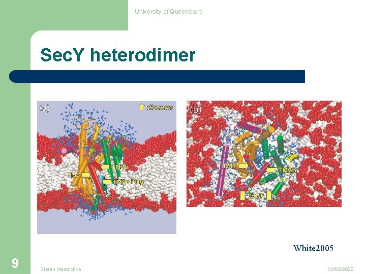 University of Queensland Sec. Y heterodimer White 2005 9 Stefan Maetschke 01/02/2022 