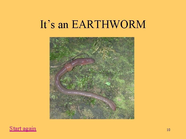 It’s an EARTHWORM Start again 10 