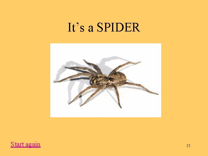 It’s a SPIDER Start again 15 