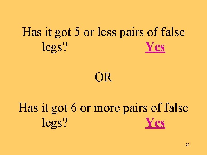 Has it got 5 or less pairs of false legs? Yes OR Has it