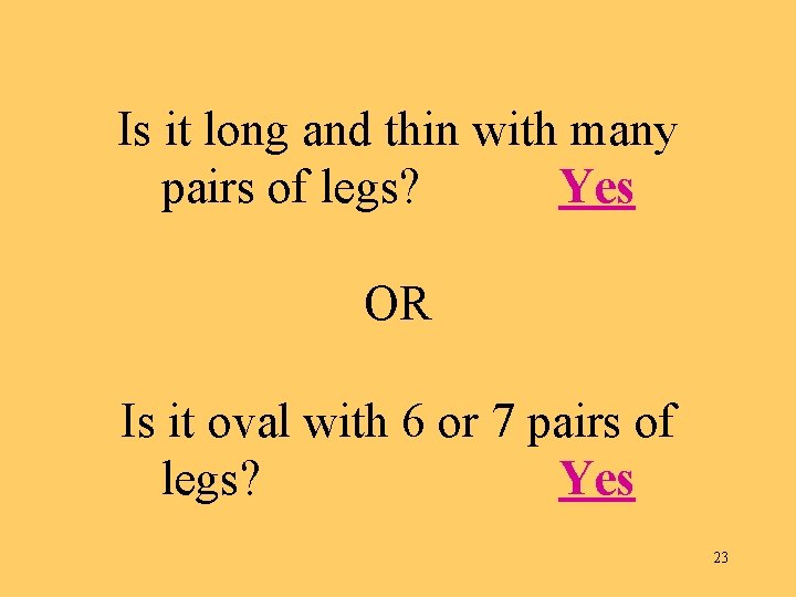 Is it long and thin with many pairs of legs? Yes OR Is it