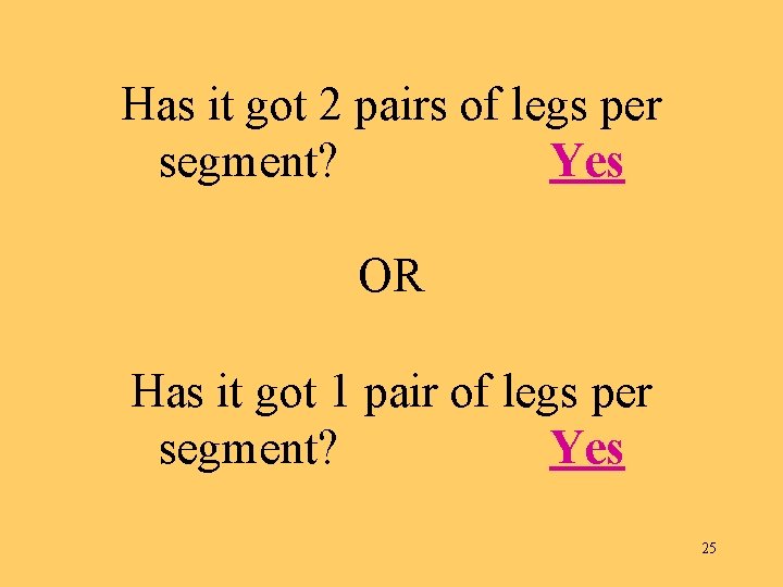 Has it got 2 pairs of legs per segment? Yes OR Has it got