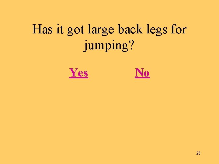 Has it got large back legs for jumping? Yes No 28 