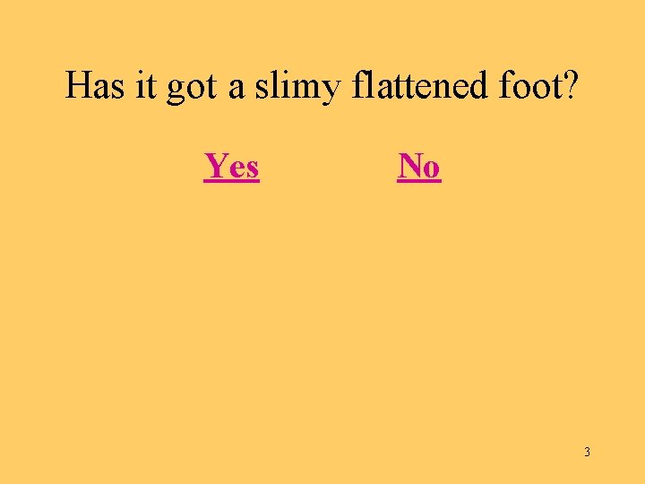 Has it got a slimy flattened foot? Yes No 3 