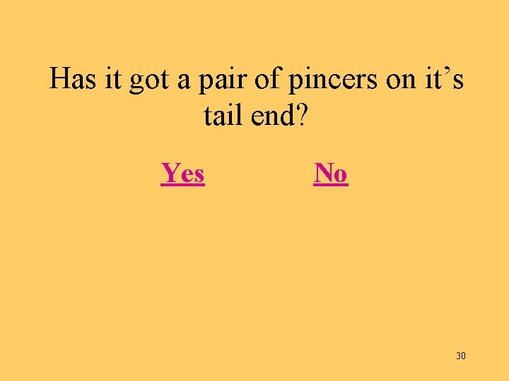 Has it got a pair of pincers on it’s tail end? Yes No 30