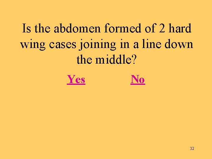 Is the abdomen formed of 2 hard wing cases joining in a line down