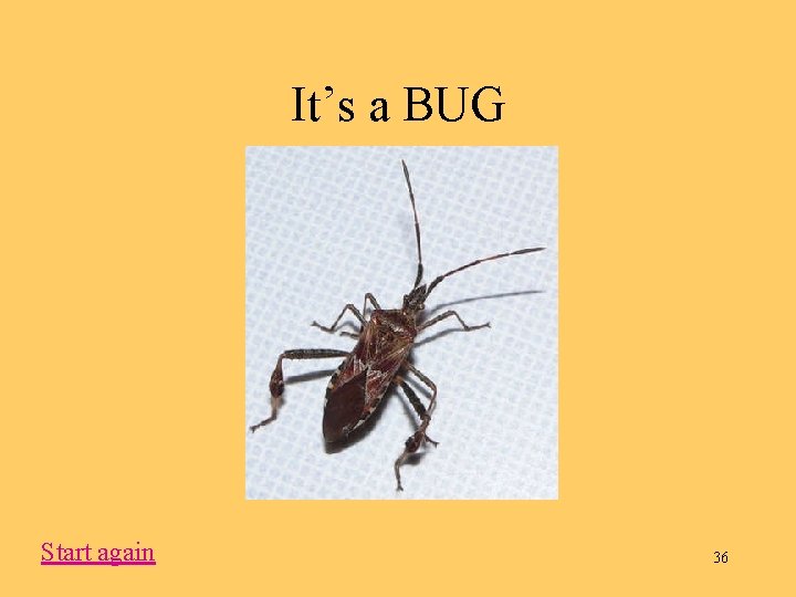 It’s a BUG Start again 36 