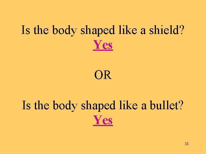 Is the body shaped like a shield? Yes OR Is the body shaped like