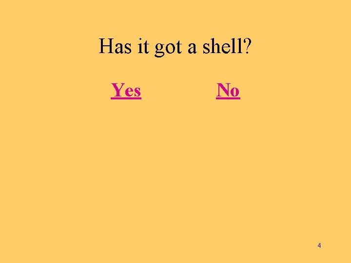 Has it got a shell? Yes No 4 