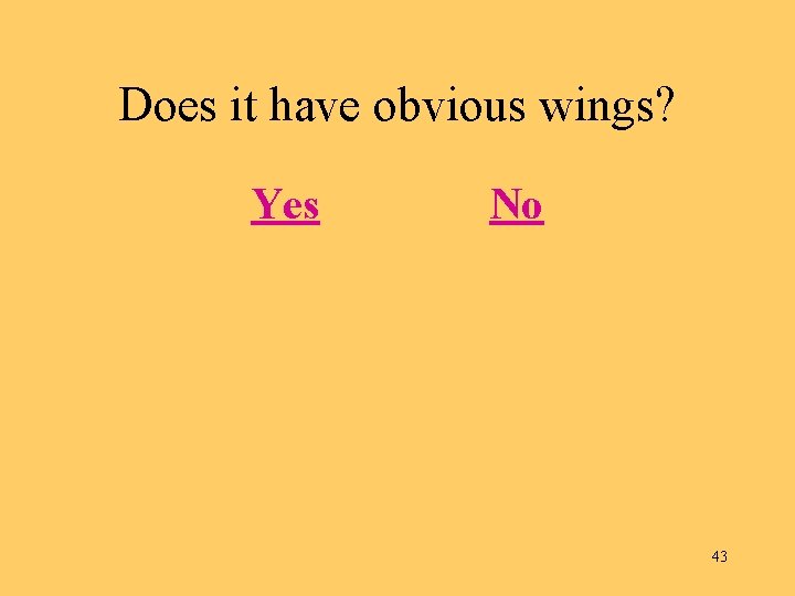 Does it have obvious wings? Yes No 43 
