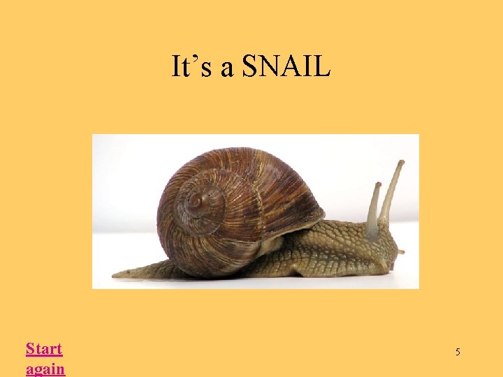 It’s a SNAIL Start again 5 