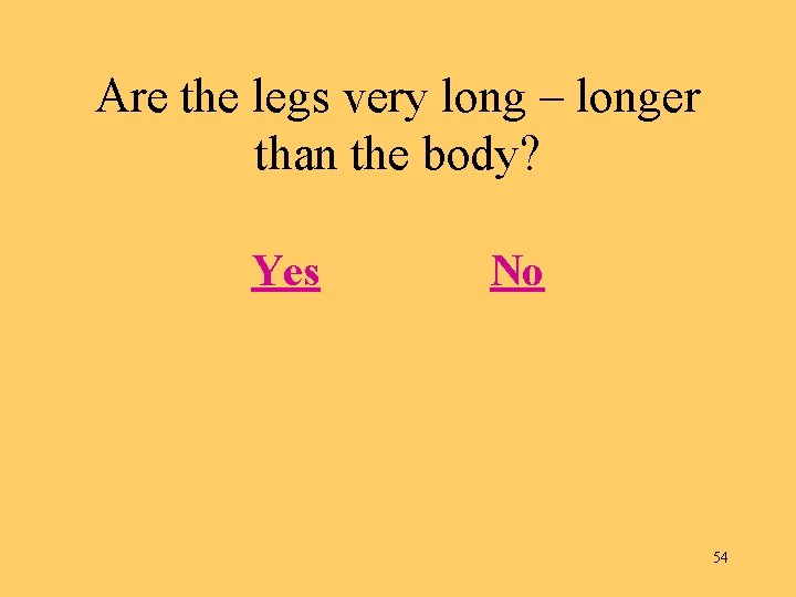Are the legs very long – longer than the body? Yes No 54 