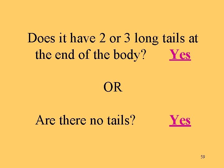 Does it have 2 or 3 long tails at the end of the body?