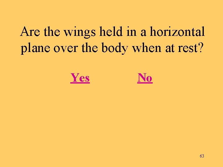 Are the wings held in a horizontal plane over the body when at rest?