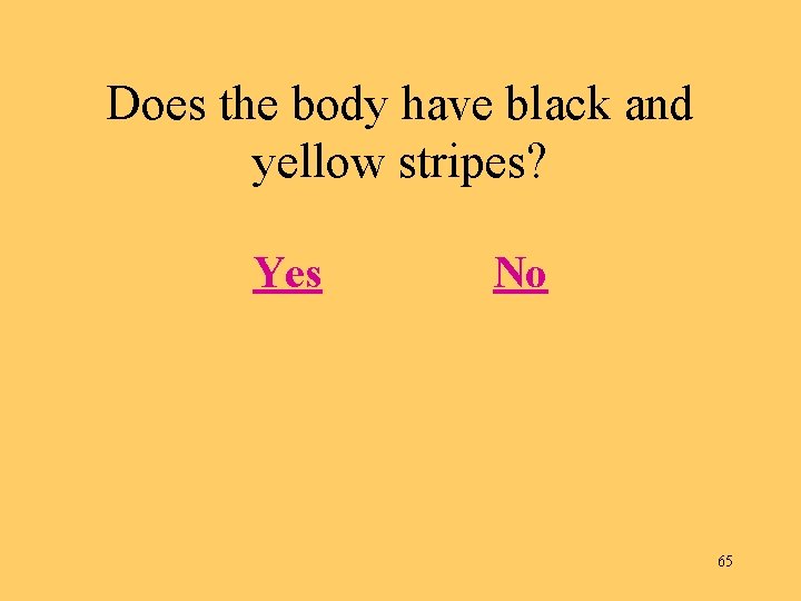 Does the body have black and yellow stripes? Yes No 65 
