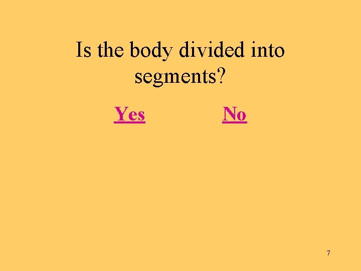 Is the body divided into segments? Yes No 7 