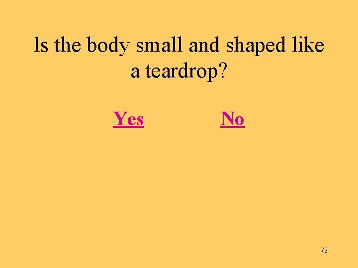 Is the body small and shaped like a teardrop? Yes No 72 
