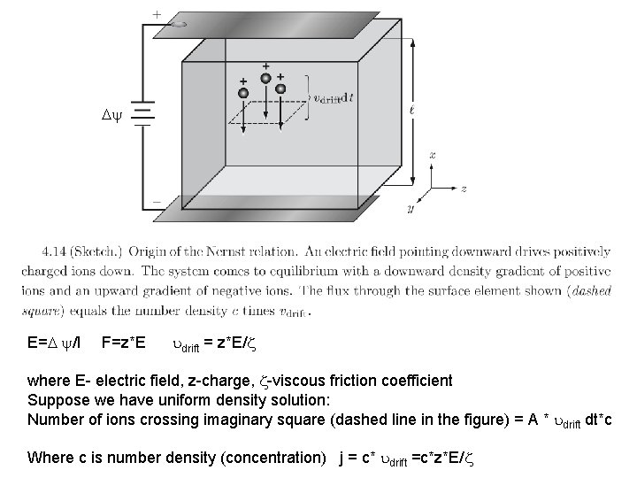  E= /l F=z*E drift = z*E/ where E- electric field, z-charge, -viscous friction