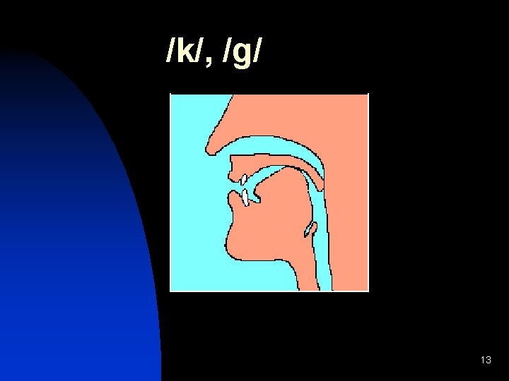 /k/, /g/ 13 