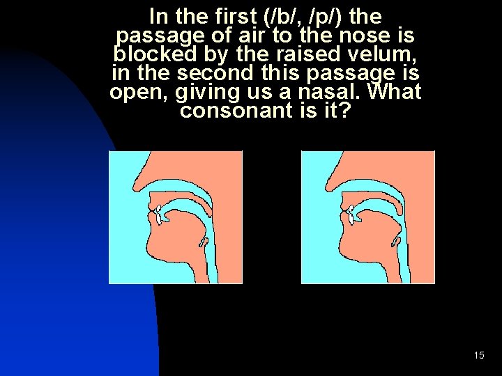 In the first (/b/, /p/) the passage of air to the nose is blocked