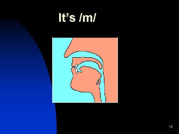 It’s /m/ 16 