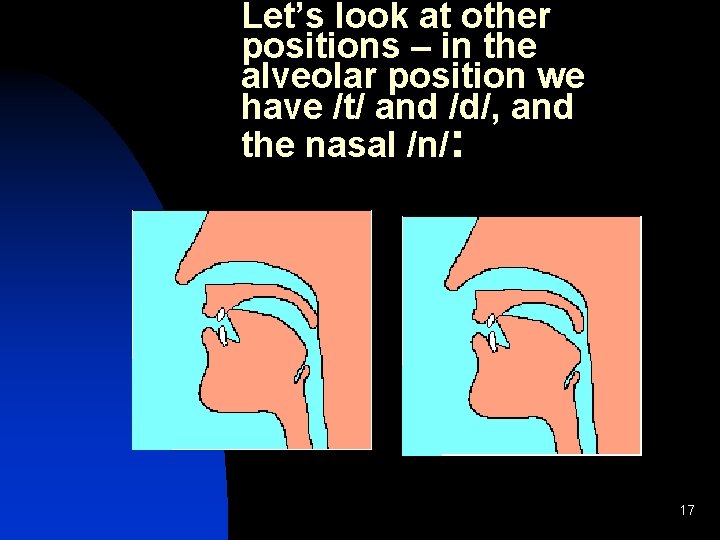 Let’s look at other positions – in the alveolar position we have /t/ and