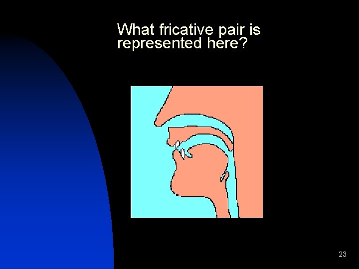 What fricative pair is represented here? 23 