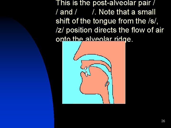 This is the post-alveolar pair / / and / /. Note that a small
