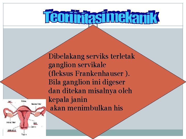 Dibelakang serviks terletak ganglion servikale (fleksus Frankenhauser ). Bila ganglion ini digeser dan ditekan