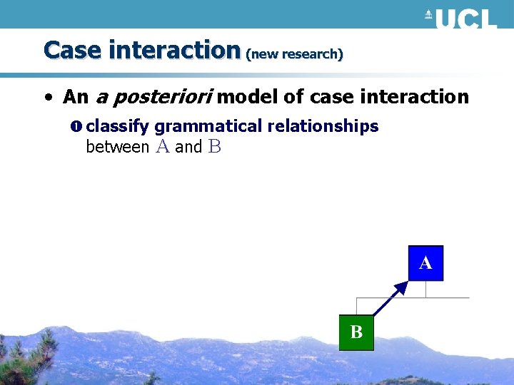 Case interaction (new research) • An a posteriori model of case interaction classify grammatical