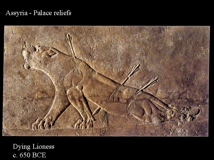 Assyria - Palace reliefs Dying Lioness c. 650 BCE 