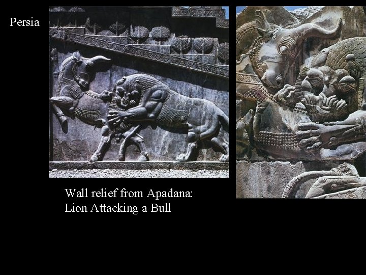 Persia Wall relief from Apadana: Lion Attacking a Bull 