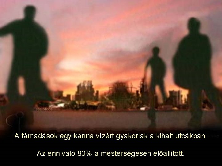 A támadások egy kanna vízért gyakoriak a kihalt utcákban. Az ennivaló 80%-a mesterségesen előállított.