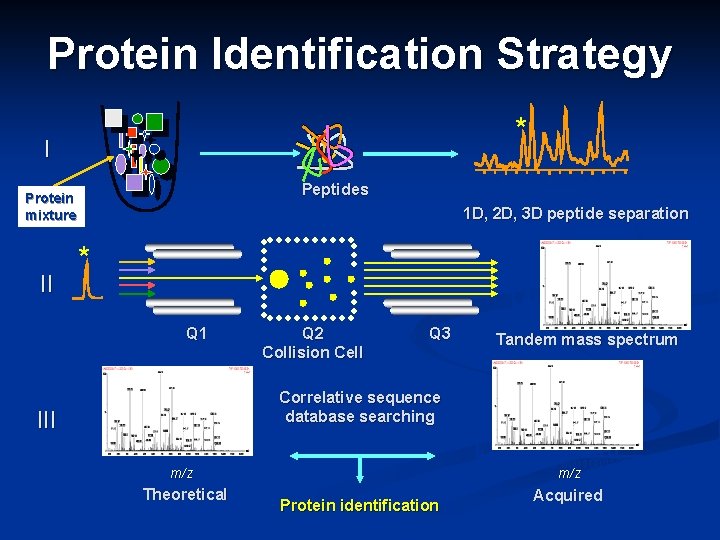 Protein Identification Strategy * I Protein mixture II 12 Peptides 14 Time (min) 16