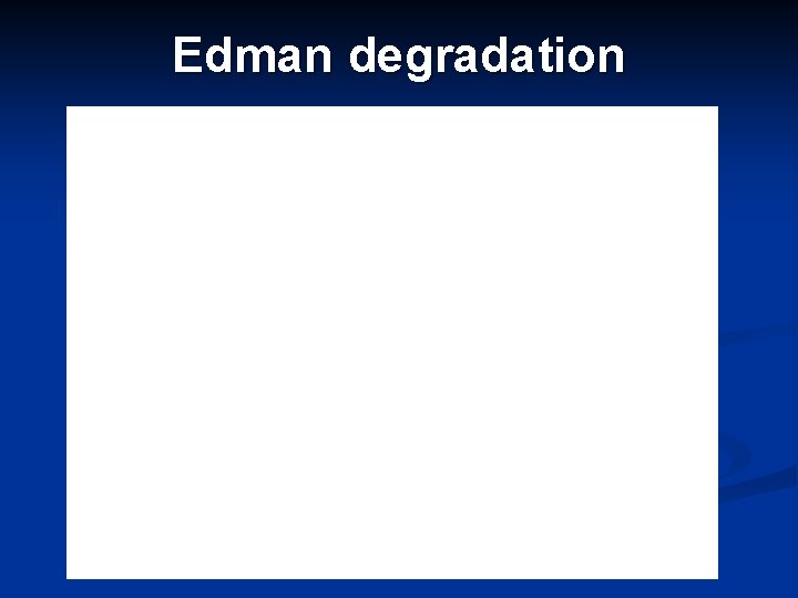 Edman degradation 