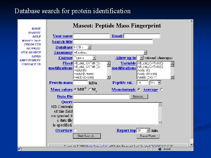 Database search for protein identification 