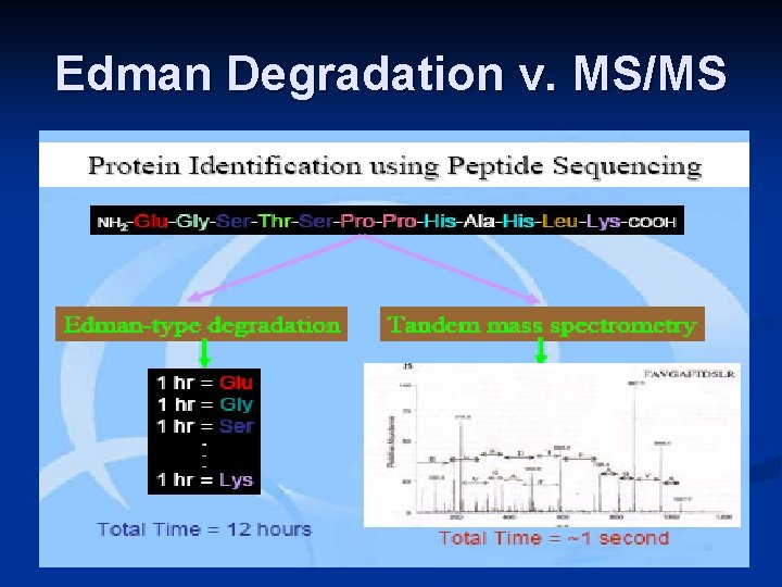 Edman Degradation v. MS/MS 