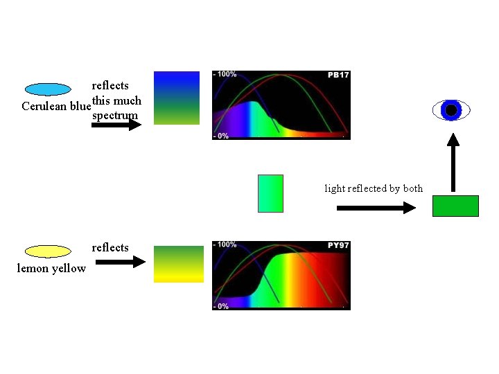 reflects Cerulean blue this much spectrum light reflected by both reflects lemon yellow 