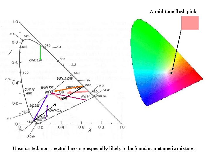 A mid-tone flesh pink Unsaturated, non-spectral hues are especially likely to be found as