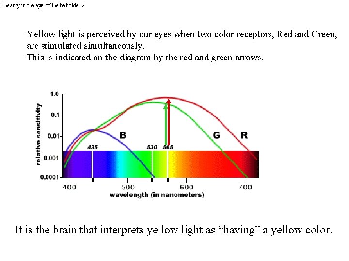 Beauty in the eye of the beholder. 2 Yellow light is perceived by our